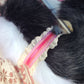 Puppy Love Set - Black and Pink